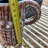 Accolay Pitcher