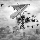 L.In the sky with gooses 2018