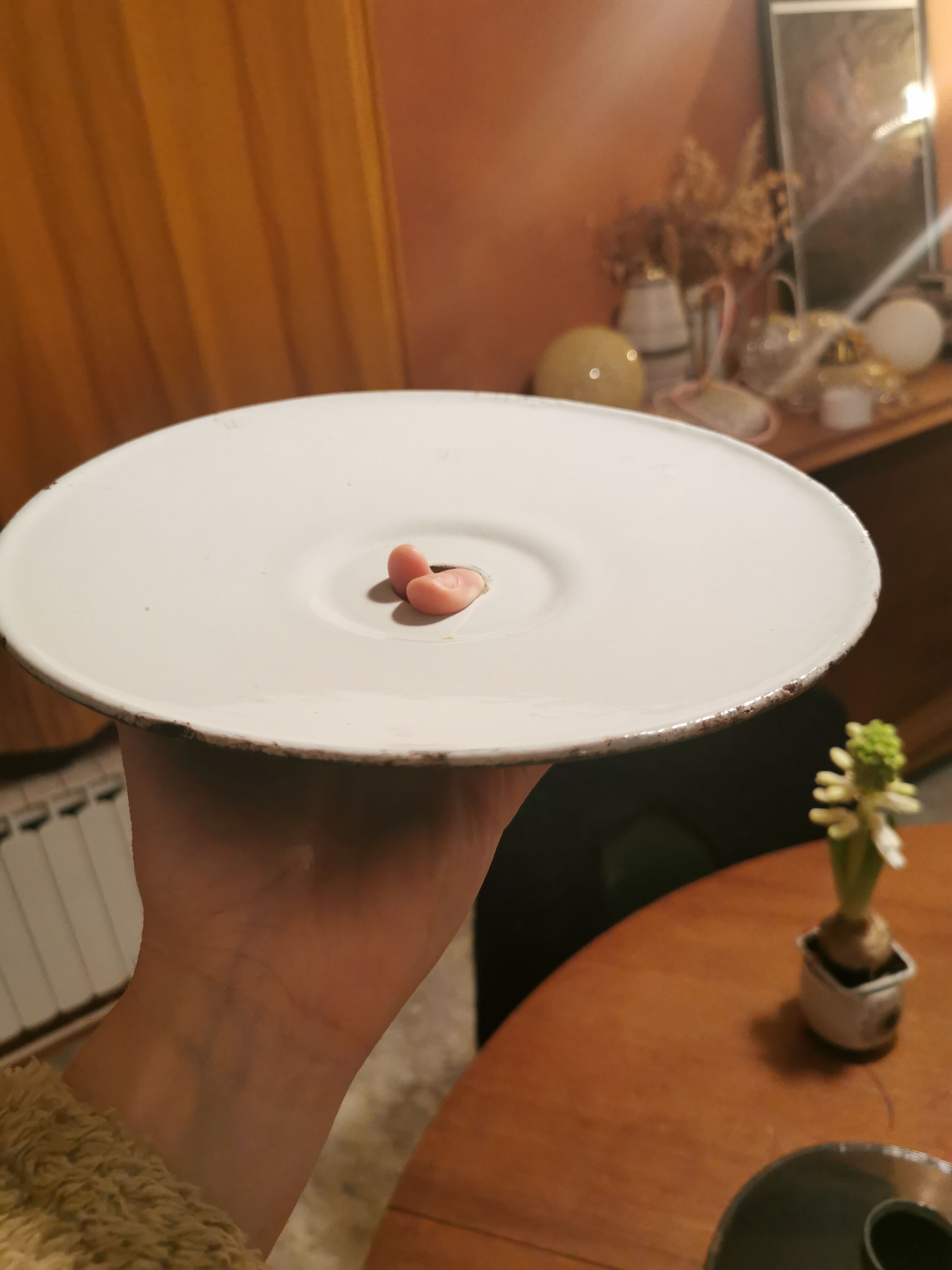 Green suspension in enamelled sheet metal