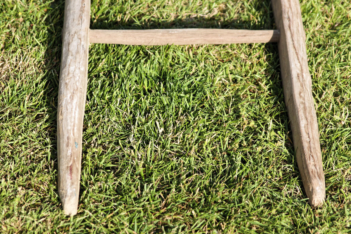 Wooden farm ladder