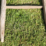 Wooden farm ladder