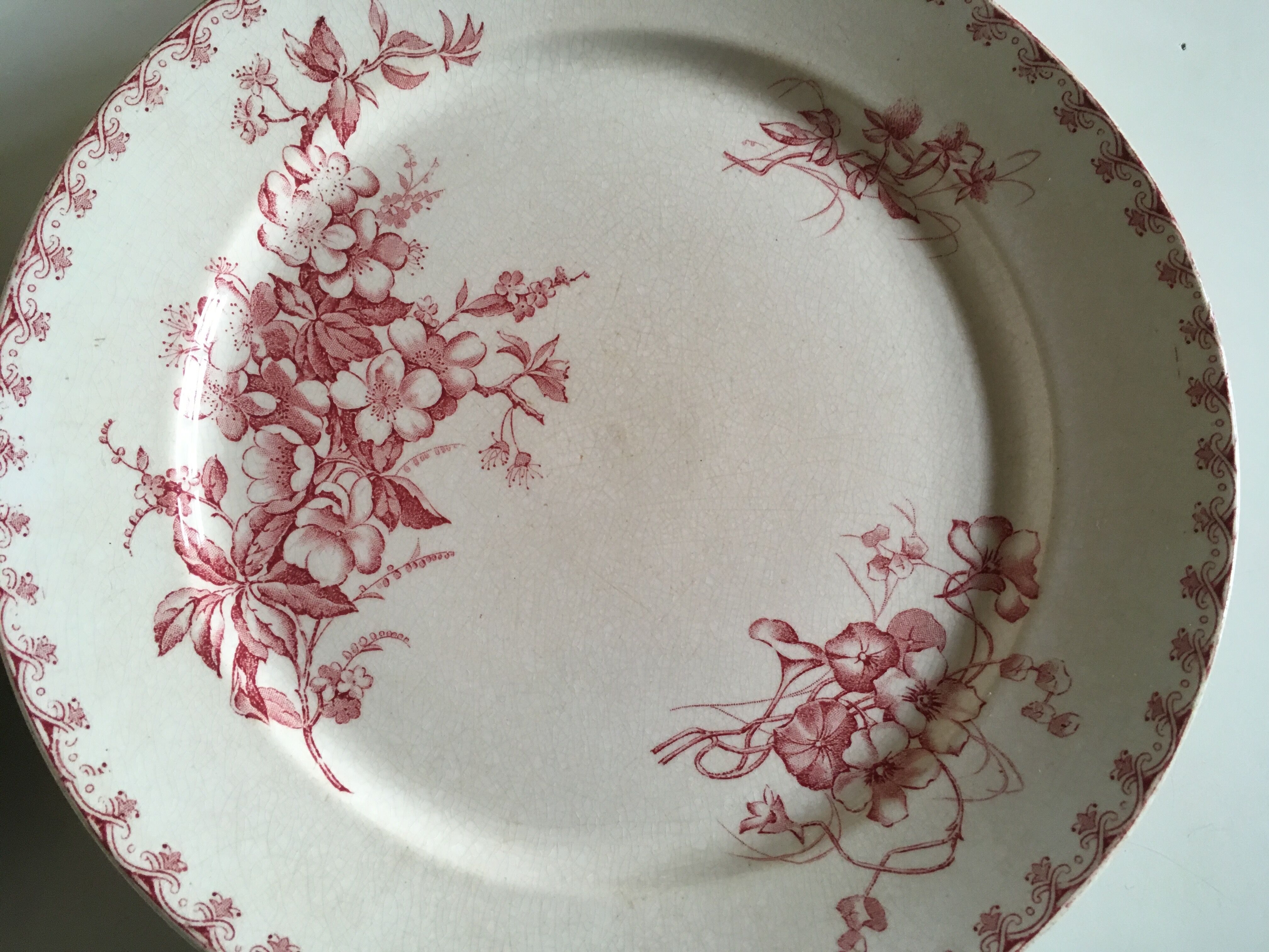 Set of 12 dinner plates of Sarreguemines land of iron décor Vega early 20th