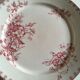 Set of 12 dinner plates of Sarreguemines land of iron décor Vega early 20th