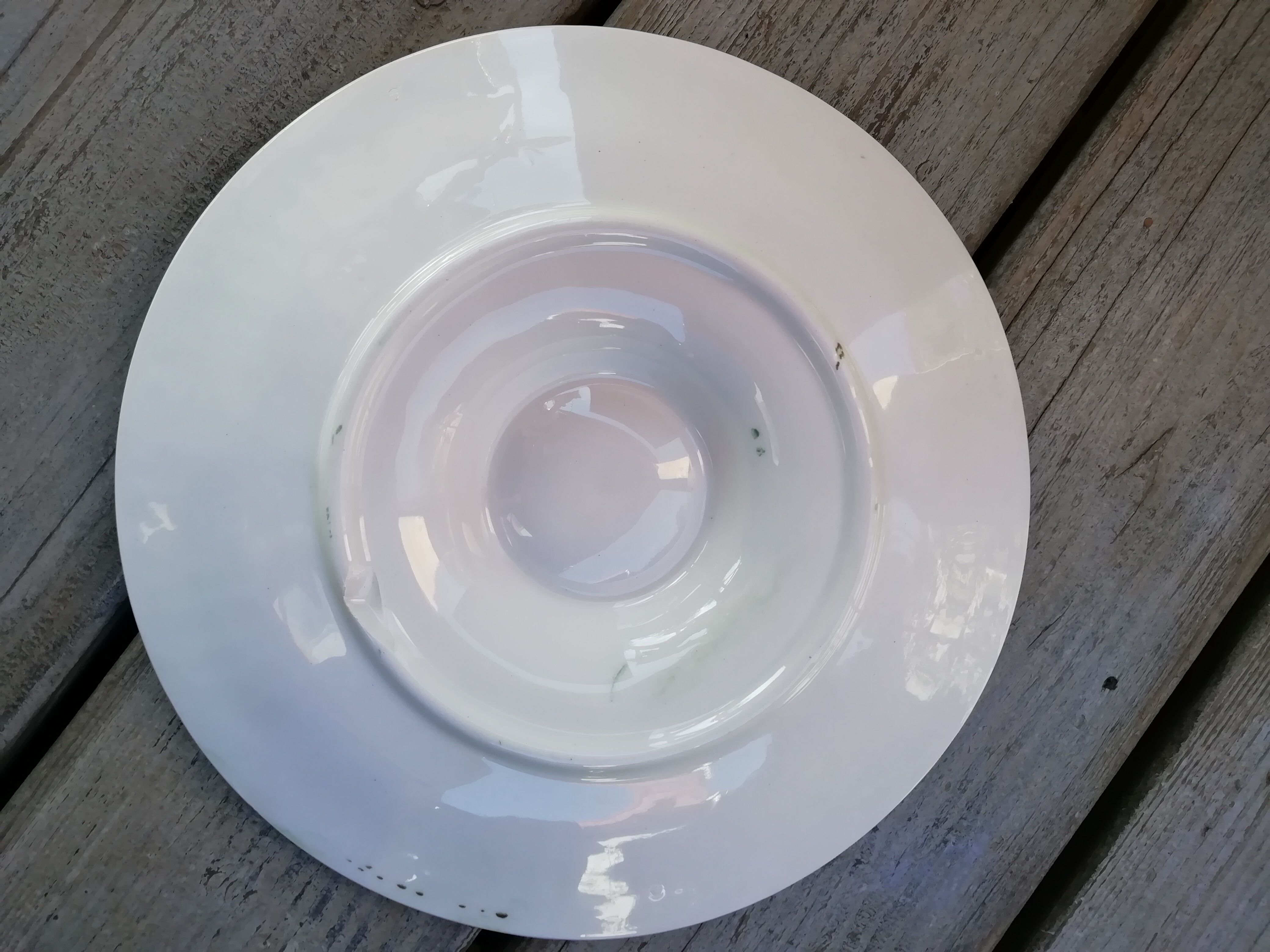 Assiette à huîtres Longchamp