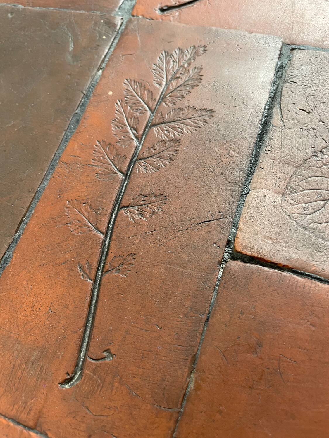 Herbarium coffee table