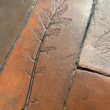Herbarium coffee table