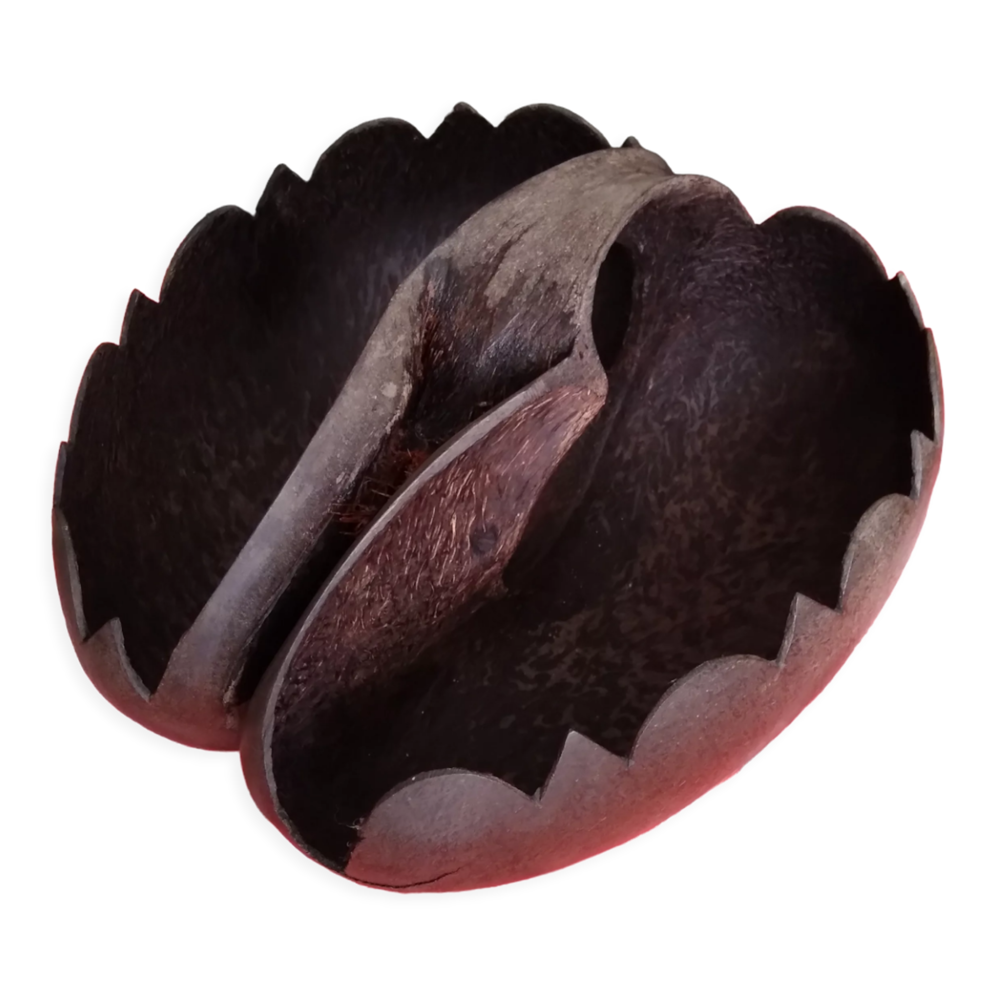Coconut basket buttocks of Seychelles
