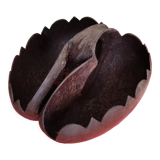 Coconut basket buttocks of Seychelles