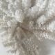 Petit bouquet de Corail blanc