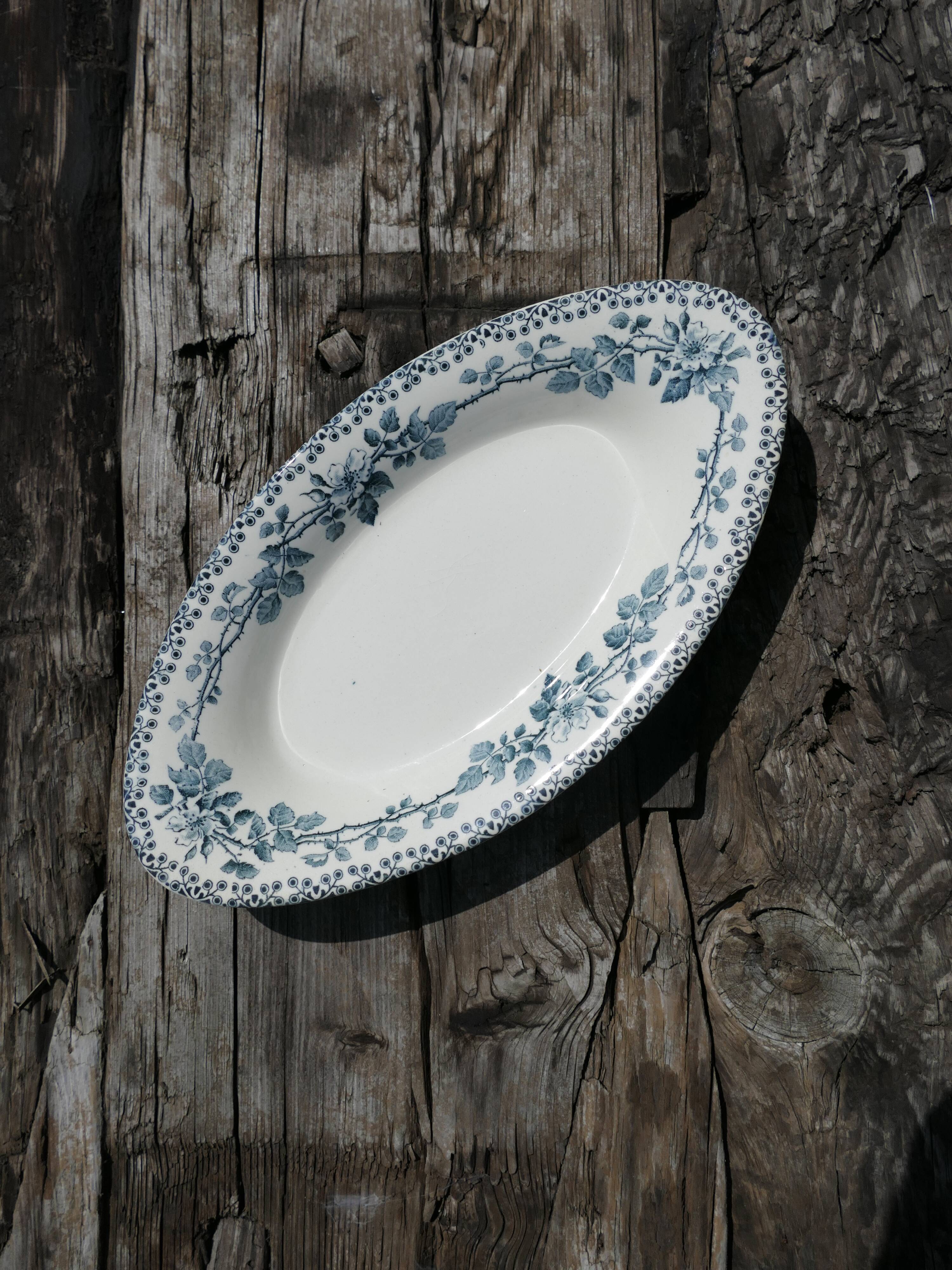 Ravier earth of iron