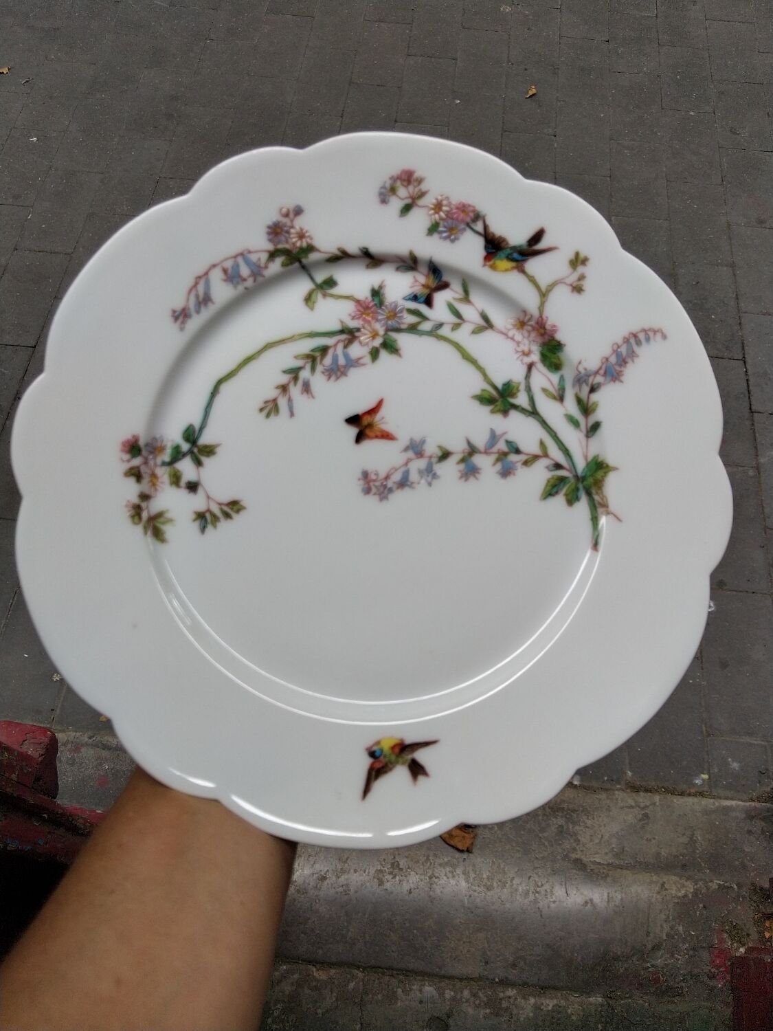 6 Art Nouveau flat plates