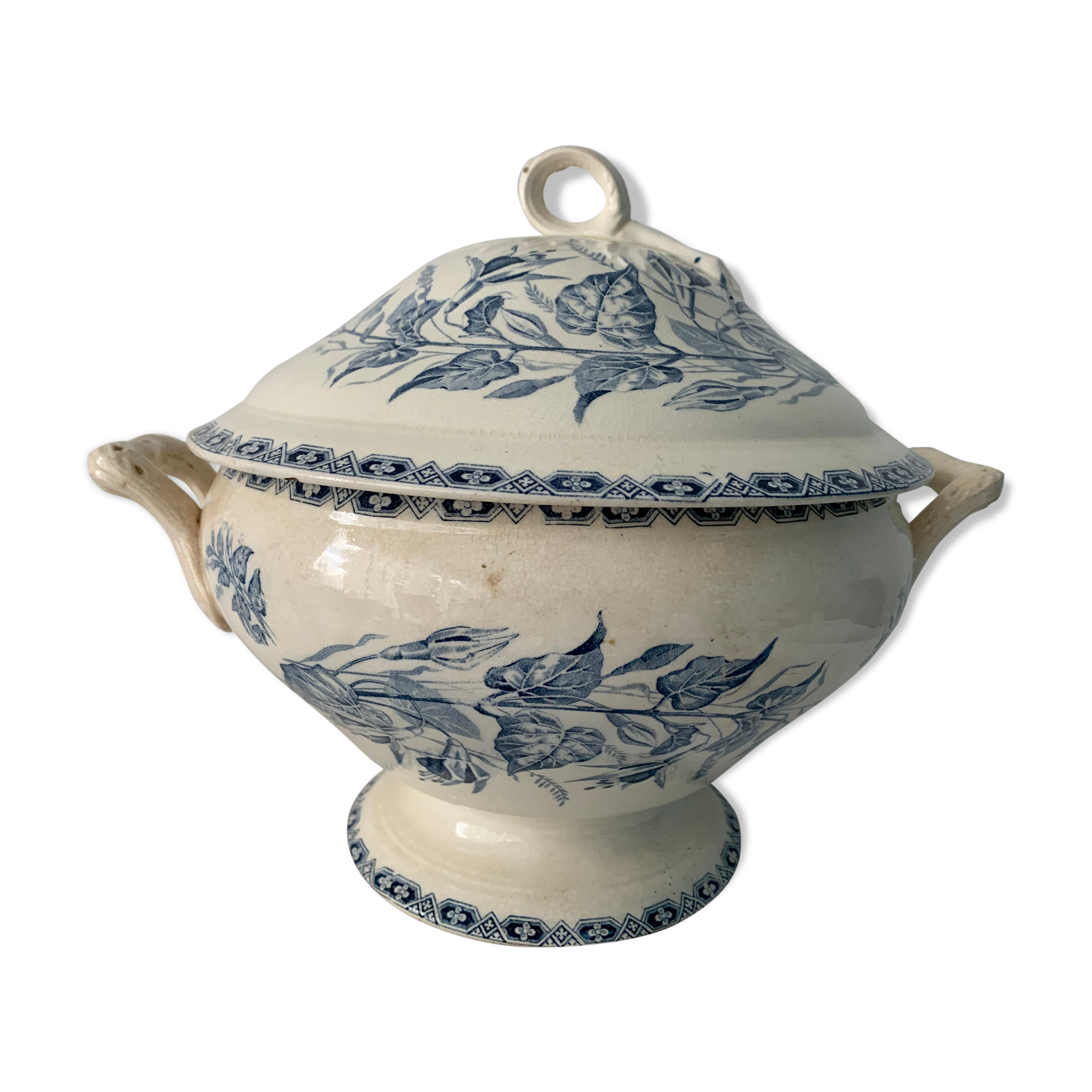 Old blue soup, Terre de Fer, martha model