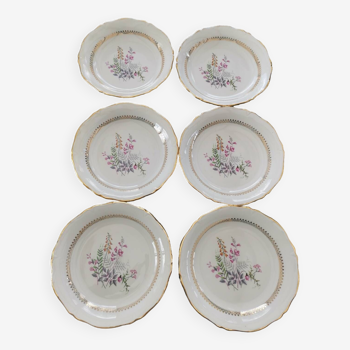 Set 6 french porcelain flower plates