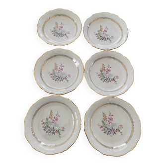 Lot 6 assiettes fleuries porcelaine française