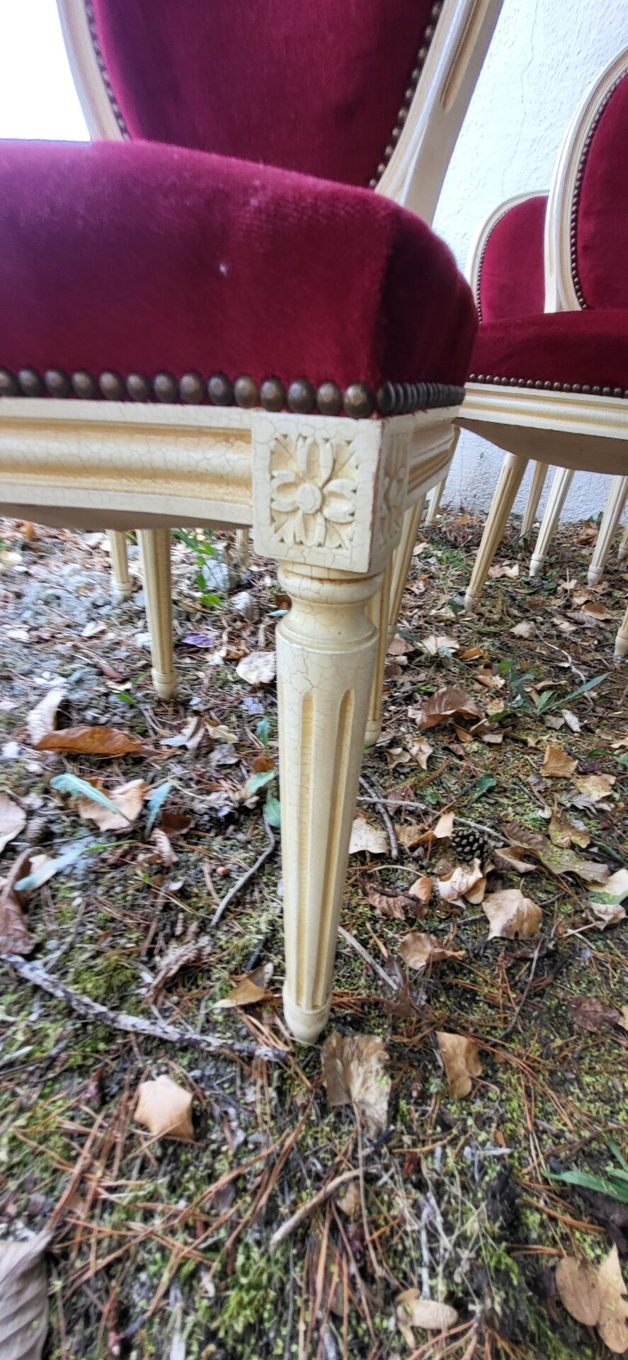 Velvet medallion chairs