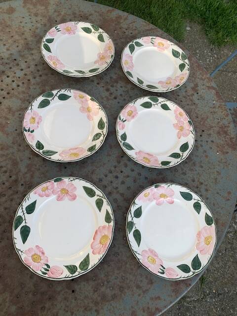 6 small earthenware dessert plates, Villeroy and Boch, wild rose, hawthorn, west germany