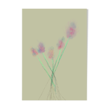 Illustration végétal