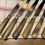 Lot of 6 horn and stainless steel knives