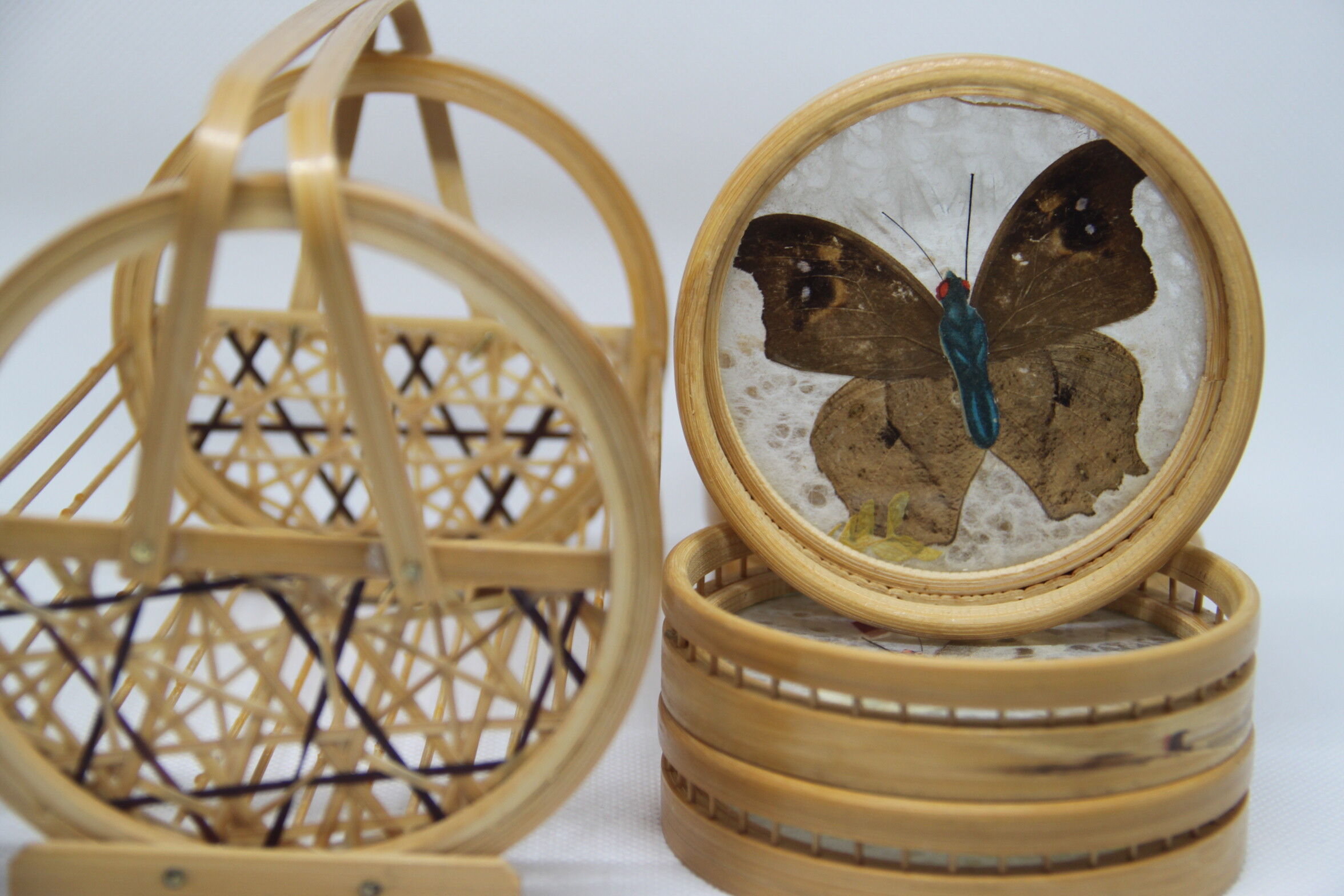 Rattan butterfly coaster door