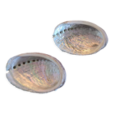 Duo of vacuum pearlescent bags in abalone shell