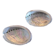 Duo of vacuum pearlescent bags in abalone shell