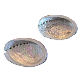 Duo of vacuum pearlescent bags in abalone shell