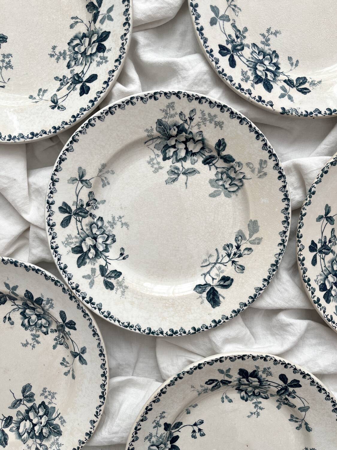 6 assiettes plates en terre de fer « Acacia » Moulin des Loups et Hamage