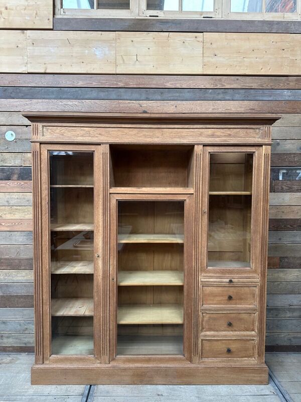 Bibliothèque atypique fin XIXème