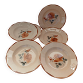 6 old Digoin and Sarreguemines soup plates