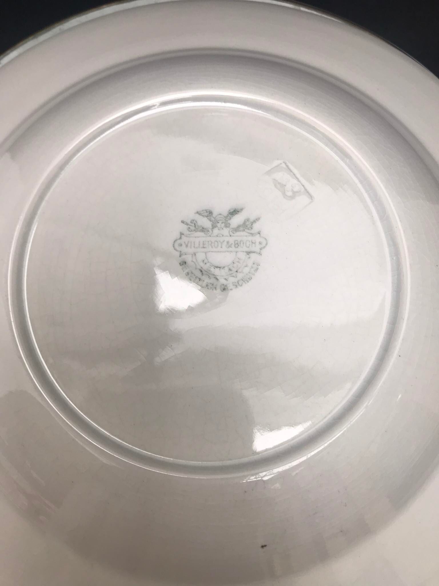 6 hollow plates XIX century Villeroy and Boch