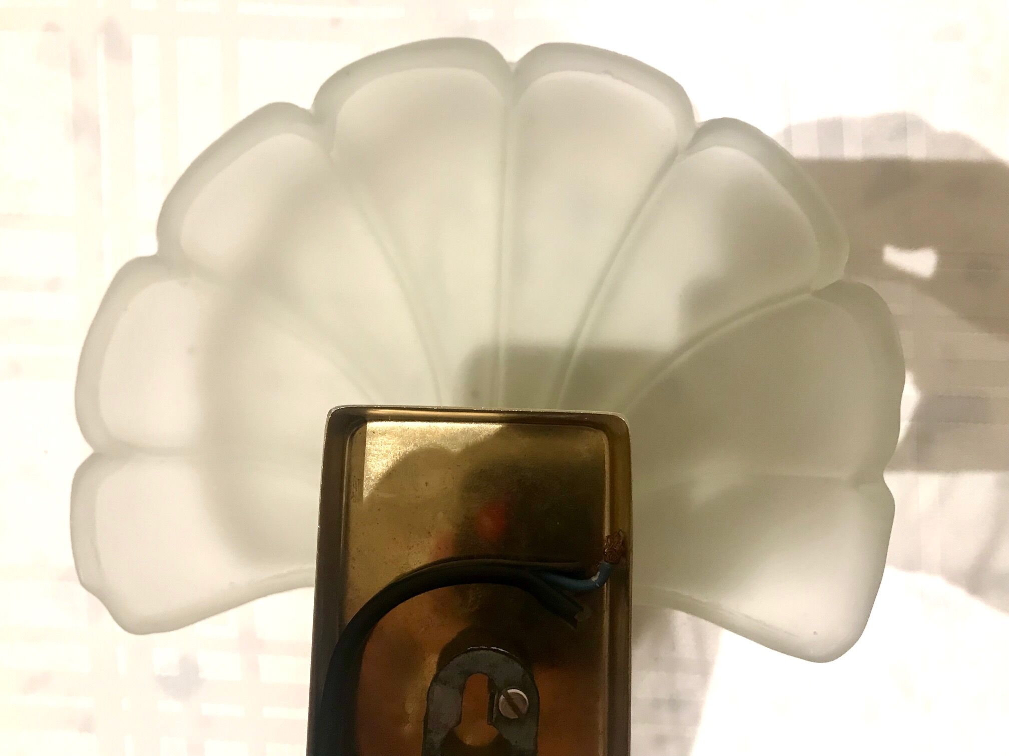 Pair of shell sconces