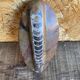 Ancient Fossil Orthoceras Polished Paperweight Vintage #D985
