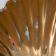 Shell trinket bowl