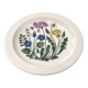 Set of 6 Arabia Finland plates model Flora – Esteri Tomula –