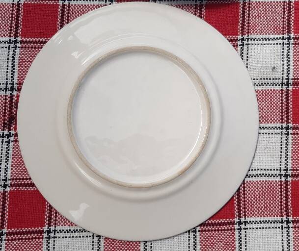 Set of 6 vintage "savannah animals" plates