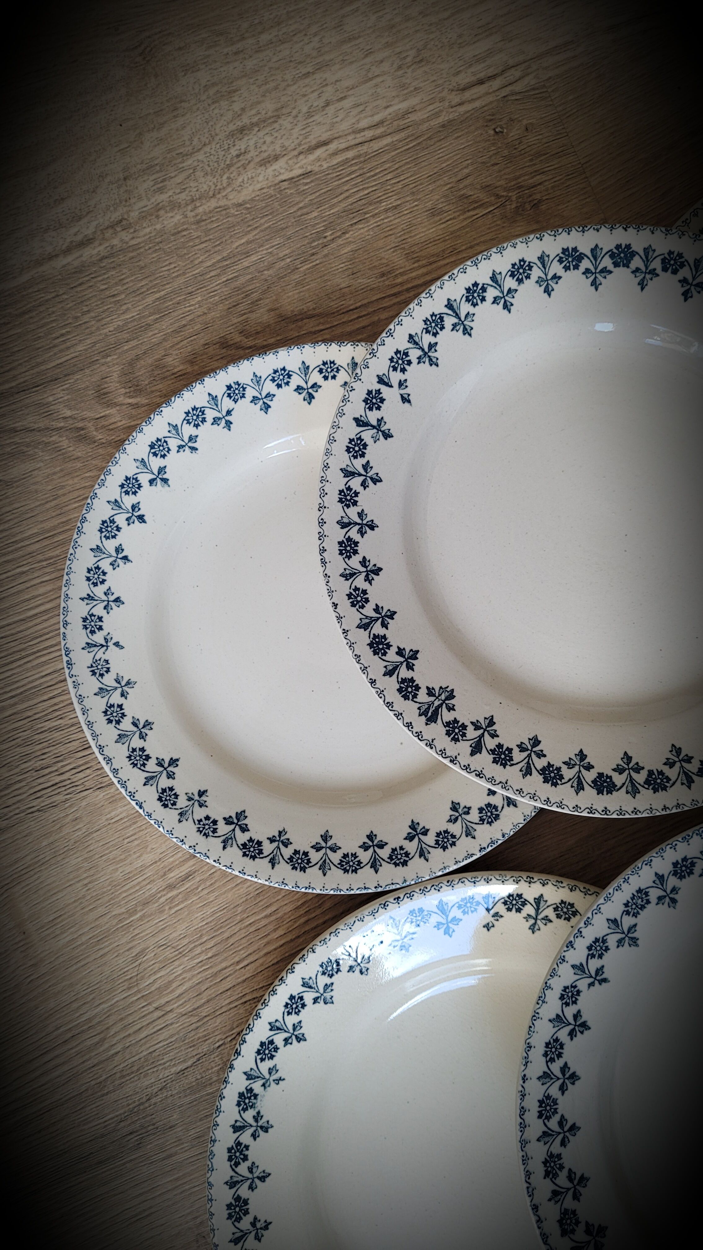 Set 6 plates Terre de Fer Barbeaux