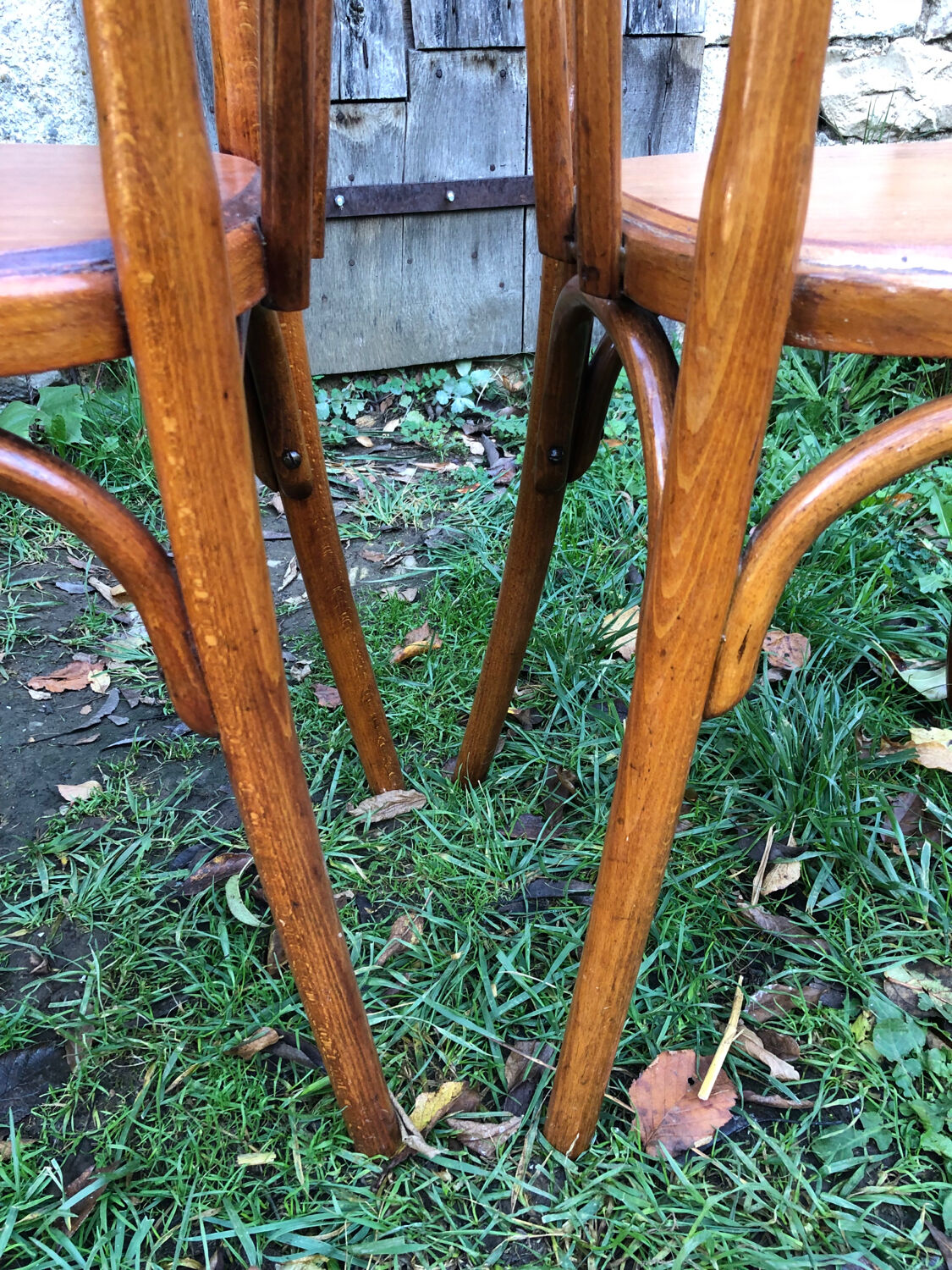 Varnished bistro chairs