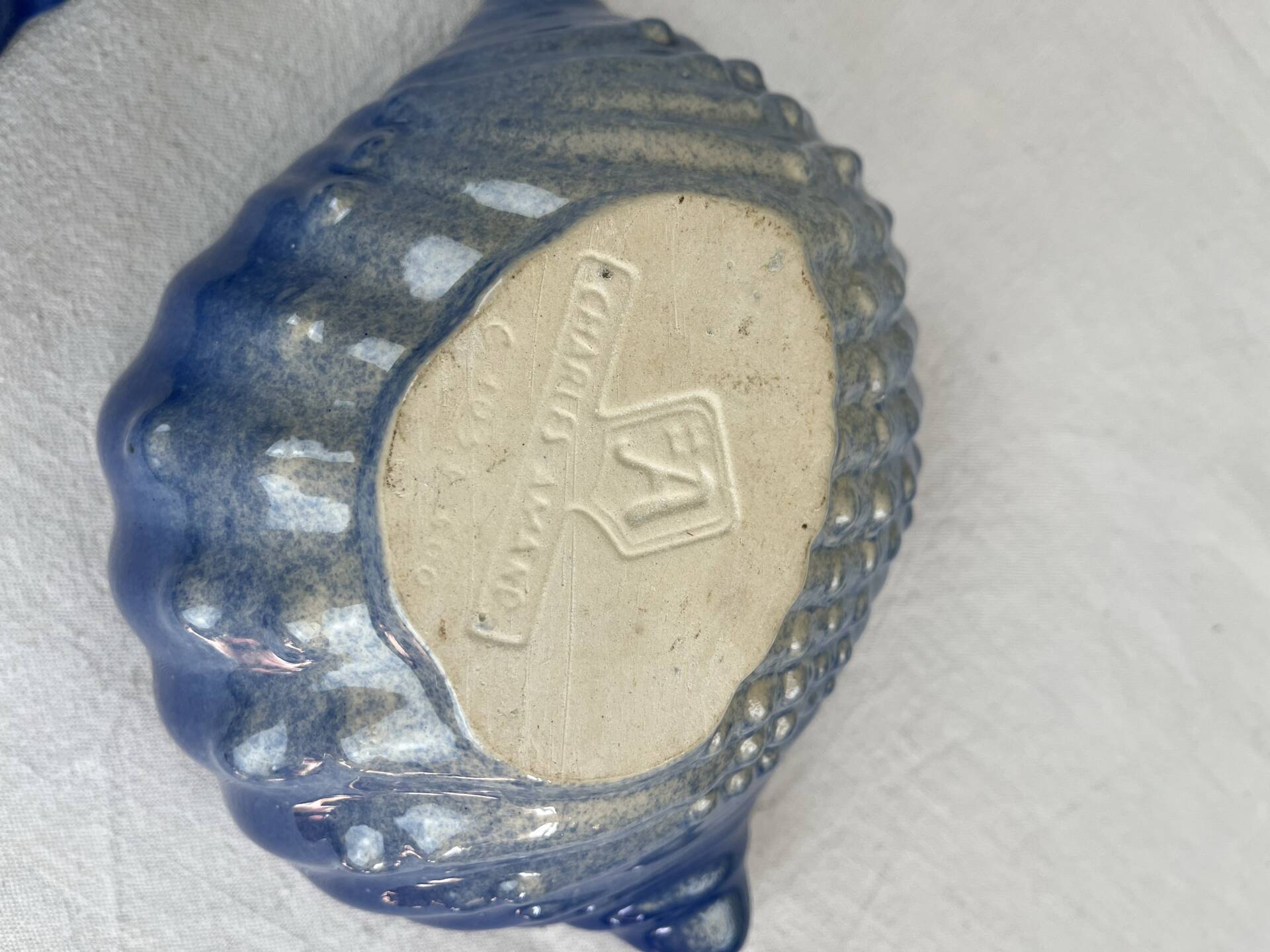 Set of shell bowls