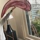 Terracotta lampshade