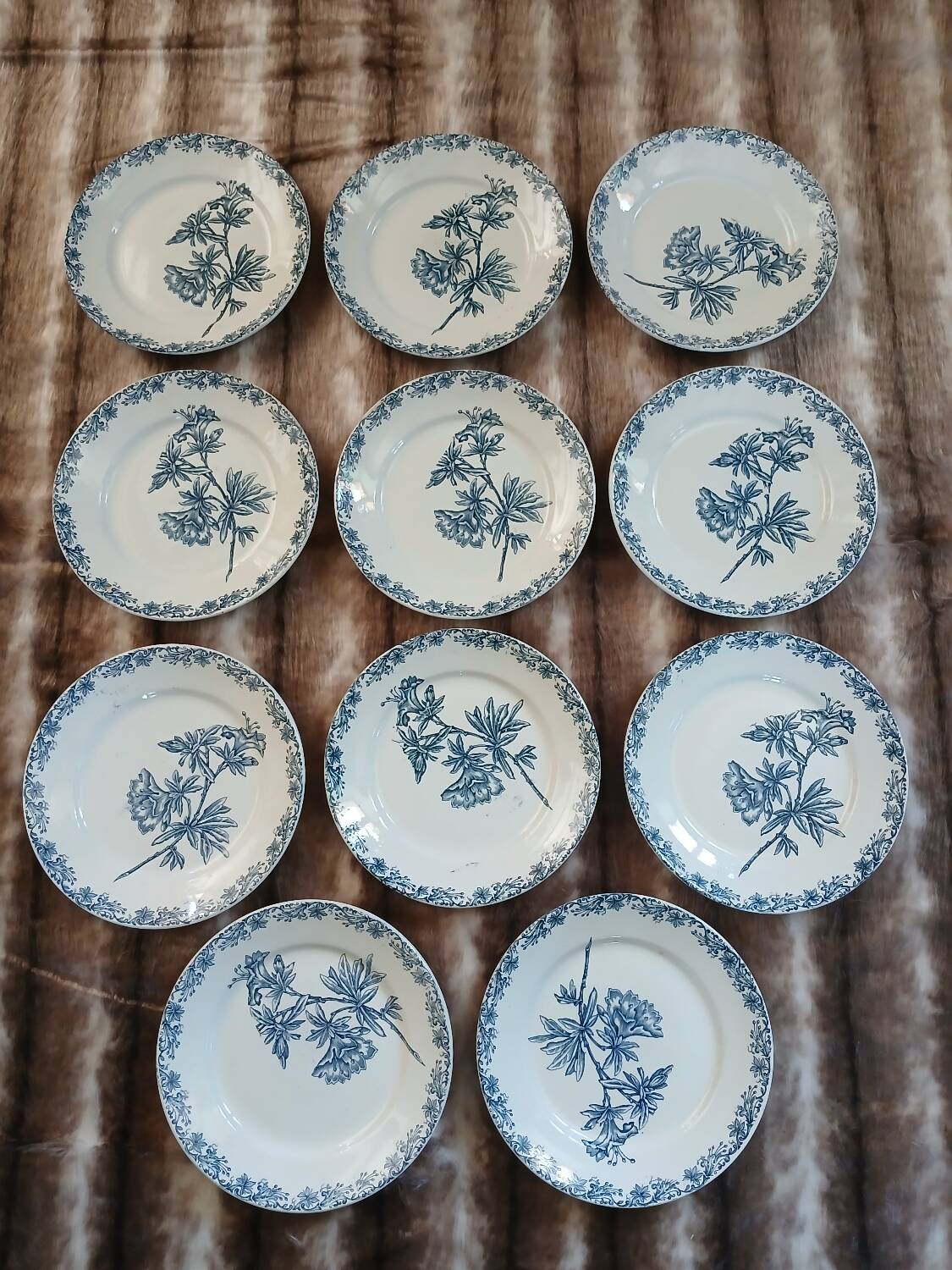 11 antique ironstone plates "Flora"