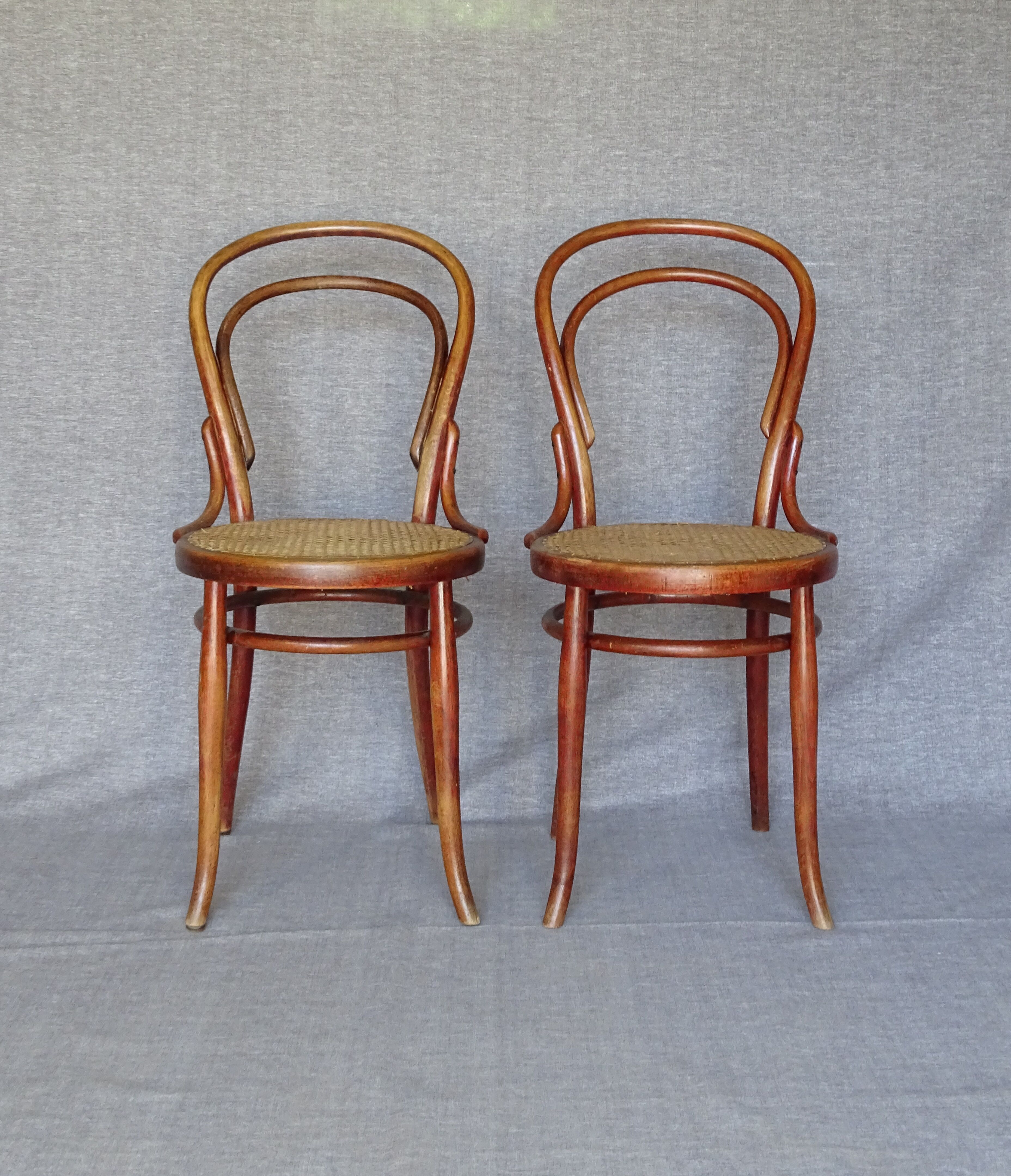 6 bistro chairs N° 14 canned, by Turpe Dresden 1890