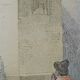 Original zoological plank "the Mulet" Buffon 1840