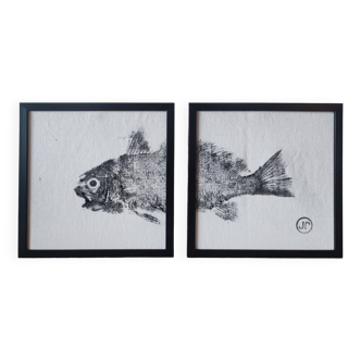 Gyotaku of an Ombrine (2 frames)