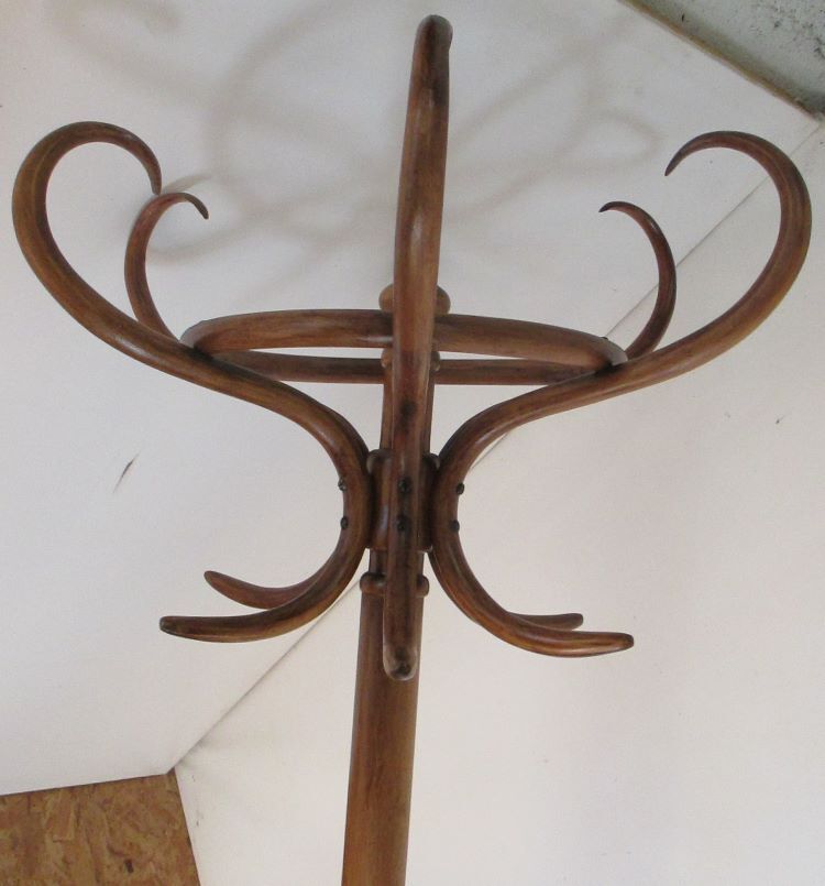 Fishel bistro parrot