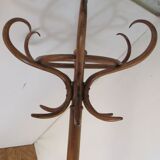 Fishel bistro parrot