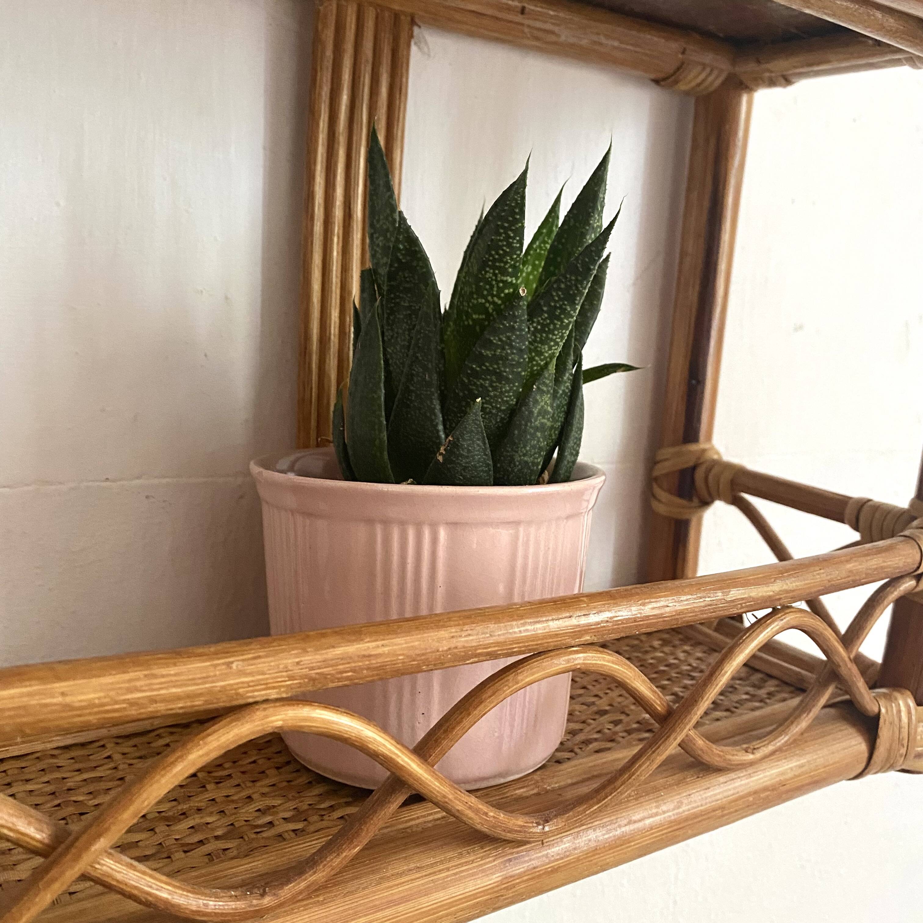 Vintage rattan wall shelf