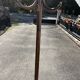 Baumann coat rack on vintage parrot stand