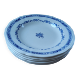 Antique porcelain plates from Gien
