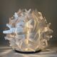 Cactus lamp slamp design adriano rachele Italy