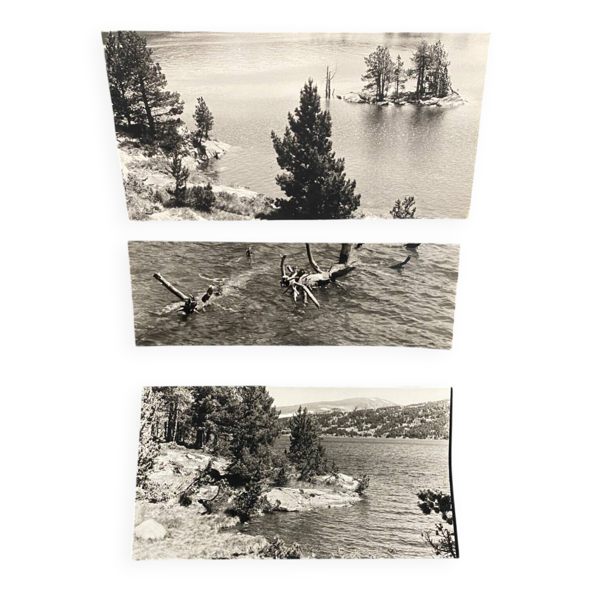 Lot de 3 photos anciennes Bernard Darot Lac Ile Sapins XXe